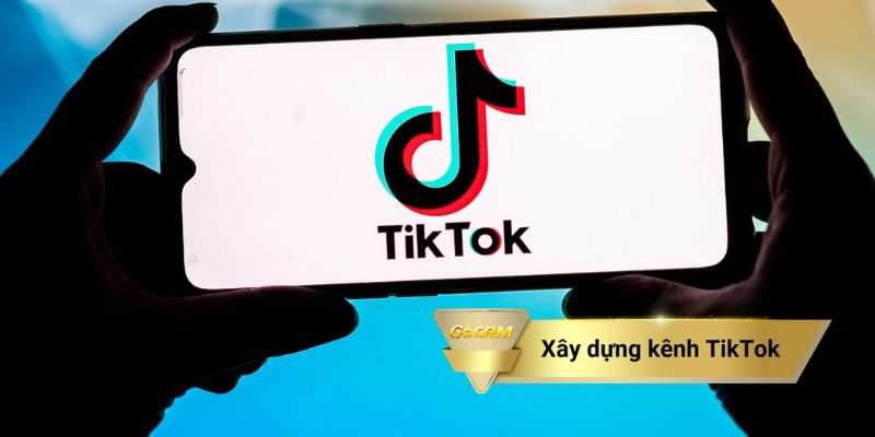 Xây dựng kênh TikTok là ý tưởng khởi nghiệp được nhiều người trẻ lựa chọn